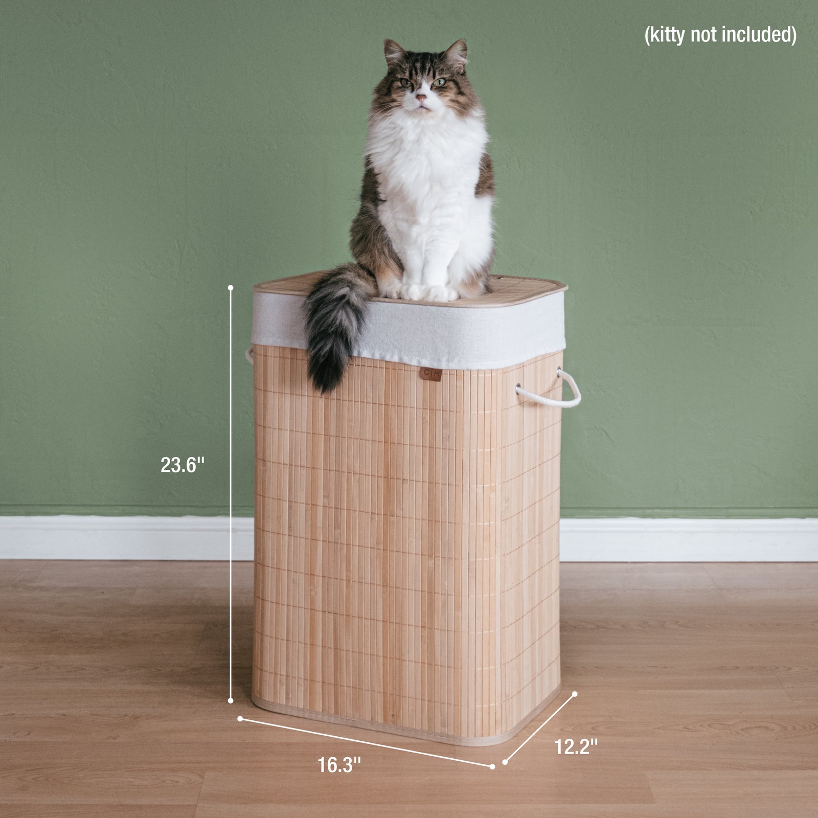 A collapsible bamboo laundry hamper with dimensions and cat on top