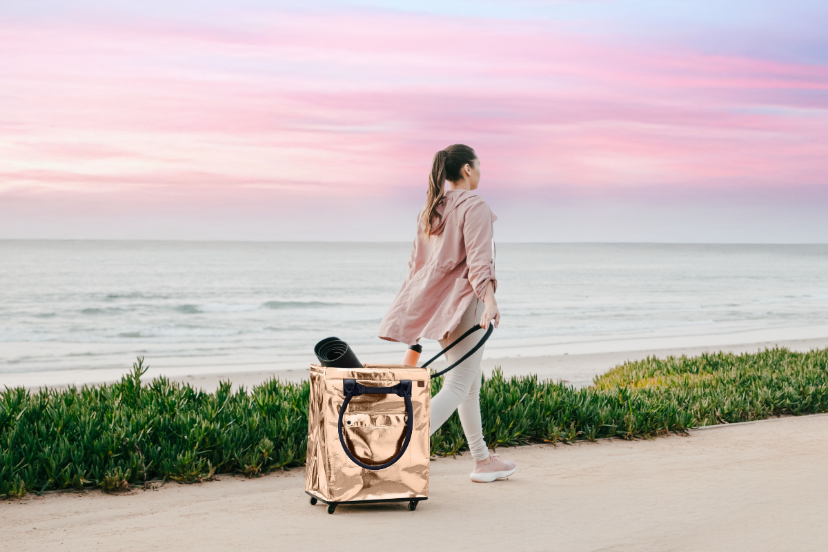 Get Ready to Roll: Everything You Need to Know About The CleverMade Rolling Hauler Tote
