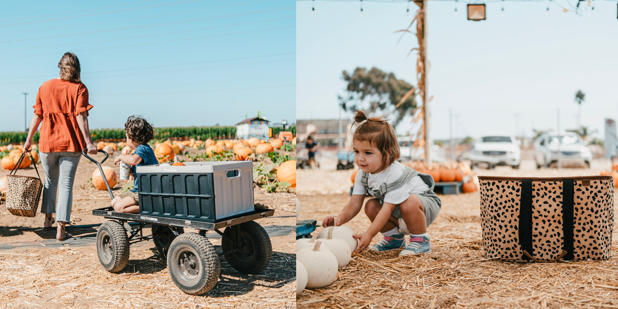 Pumpkin Patch Hacks