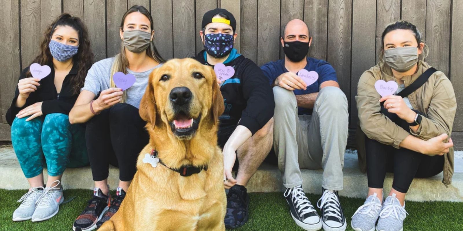 CleverMade Gives Back: Paws for Purple Hearts