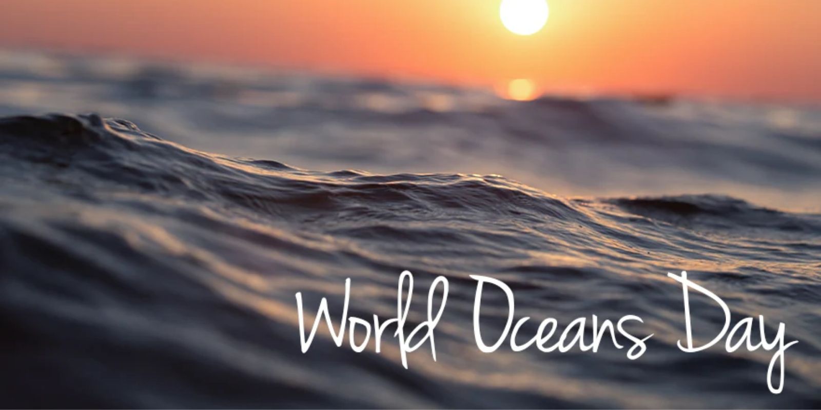 Show Your Love for Our Oceans