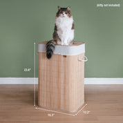 A collapsible bamboo laundry hamper with dimensions and cat on top
