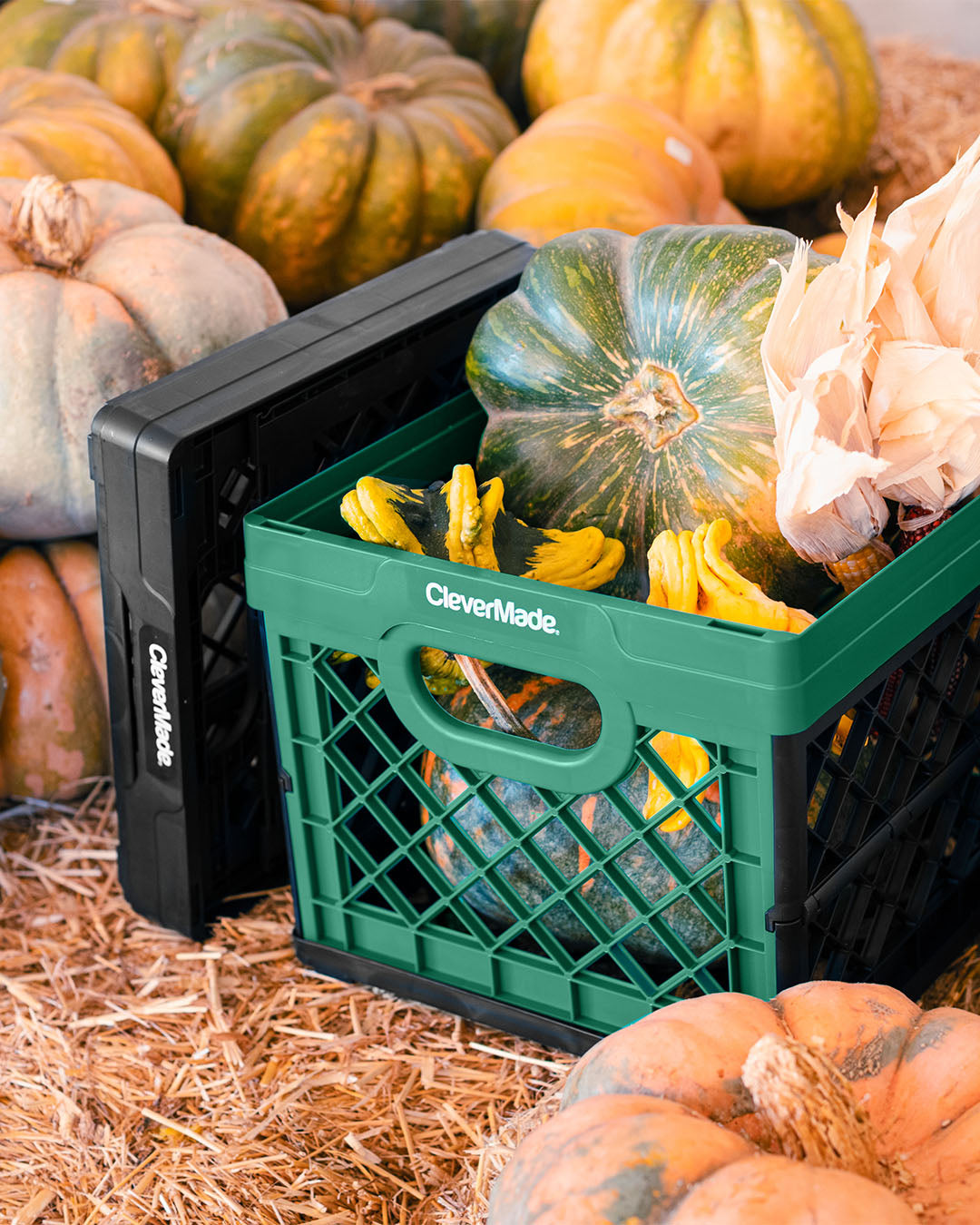 CleverMade Forest milk crate at a pumpkin patch