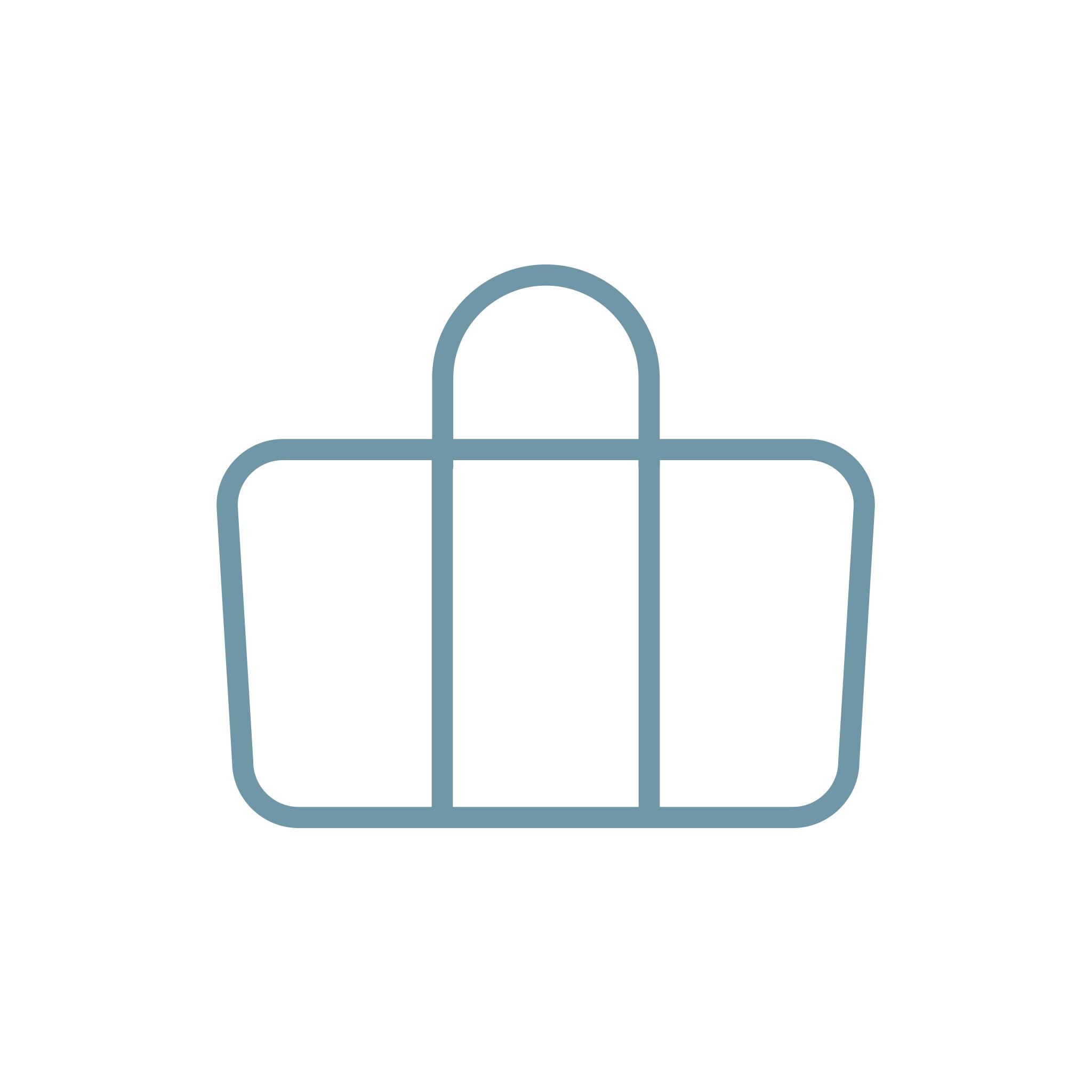 Shopping Totes