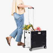 Collapsible Wheeled Crate