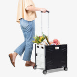 Collapsible Wheeled Crate
